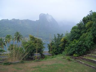Fare potee paysage 2 Fare potee paysage 2
